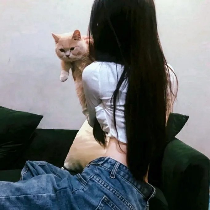 奇男奇女奇情